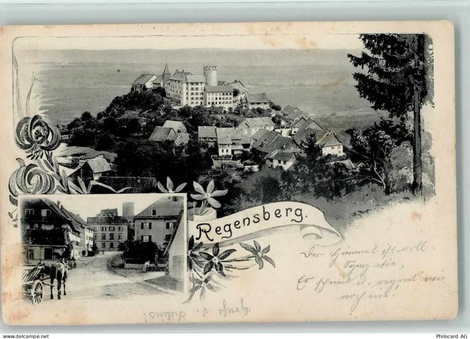 8158 Regensberg - 1905 - 13113026