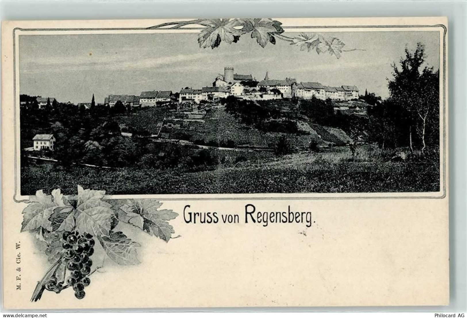 8158 Regensberg 1907 - 13248121
