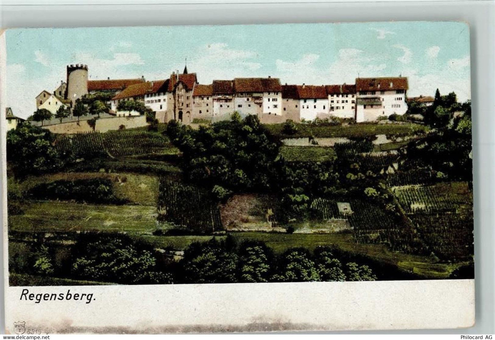 8158 Regensberg 1910 - 13095160