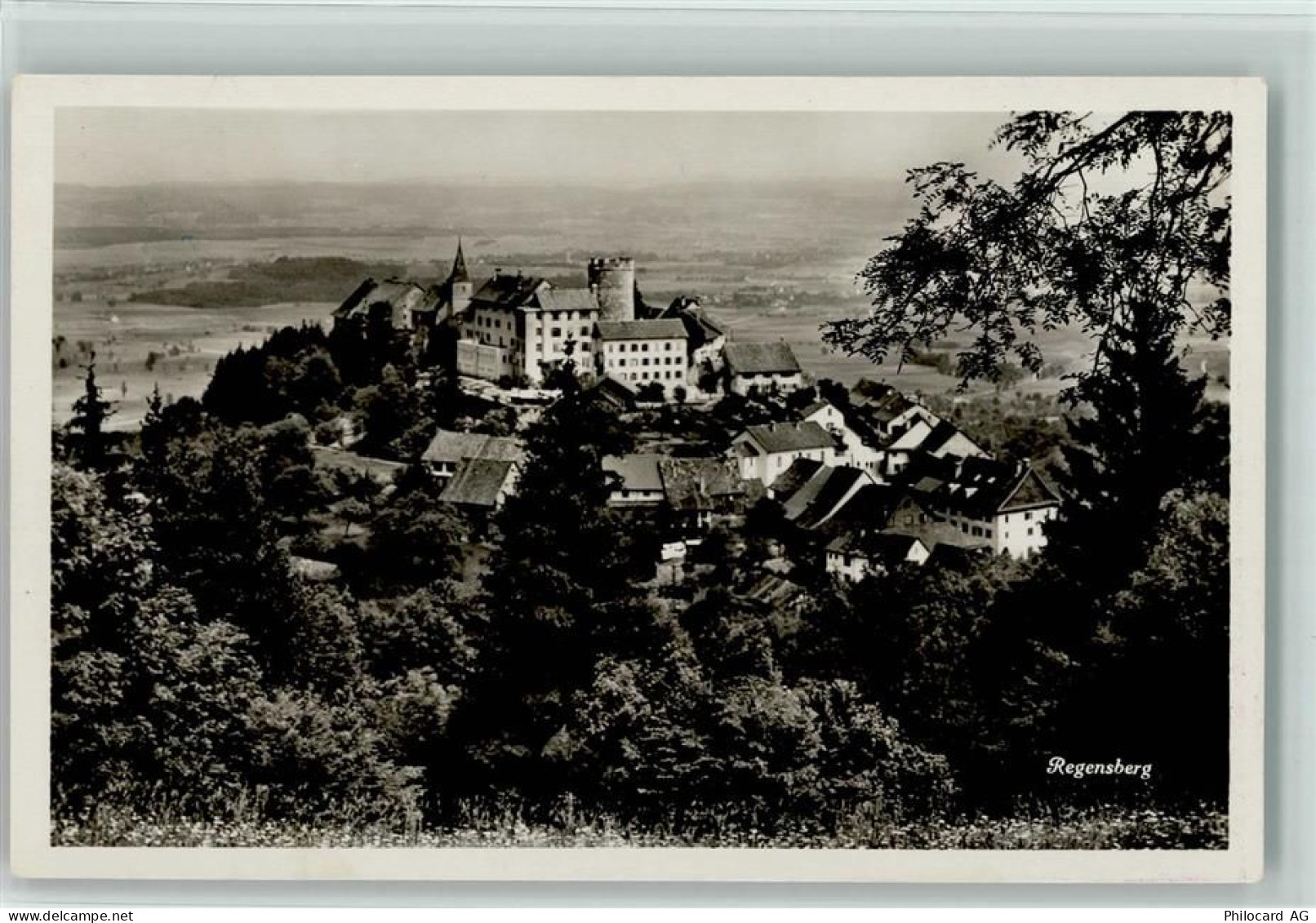 8158 Regensberg 1913 - 10198190