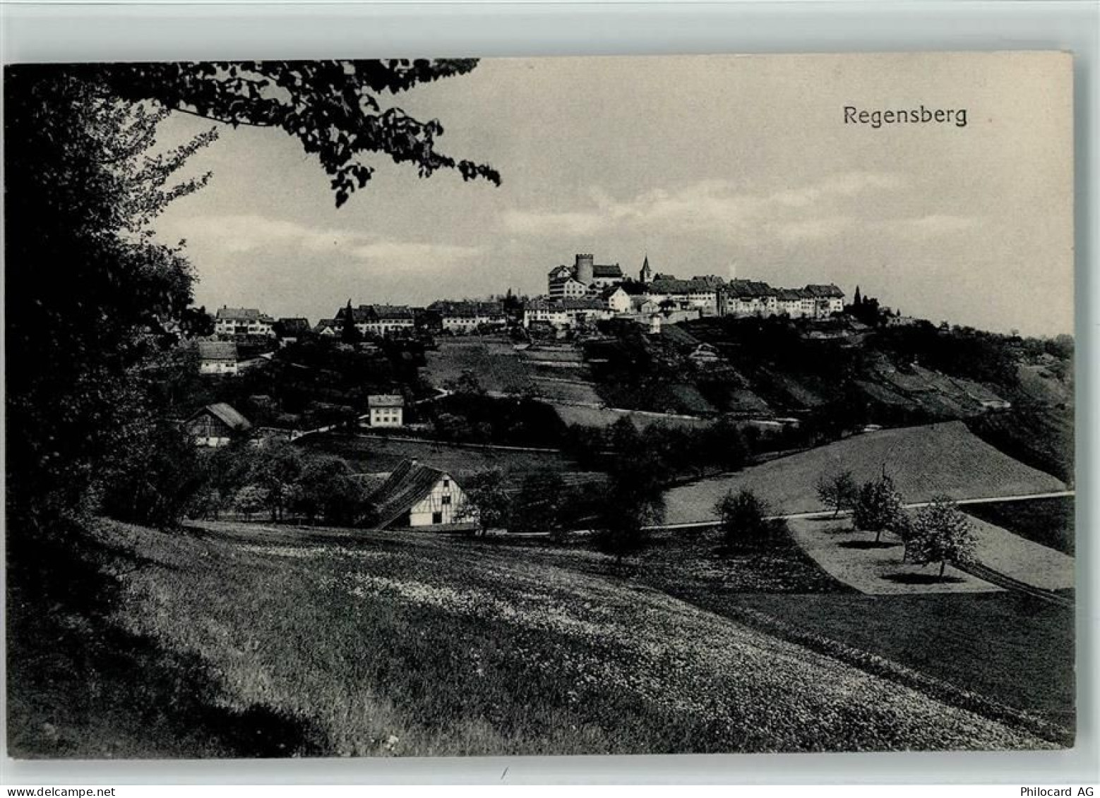 8158 Regensberg - 1913 - 13113016