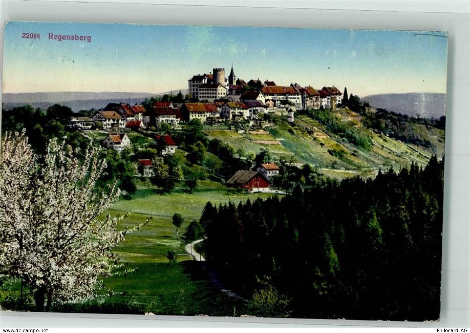 8158 Regensberg 1913 - 39702447