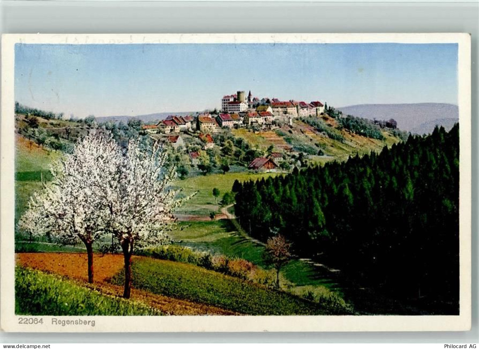 8158 Regensberg 1932 - 10198179