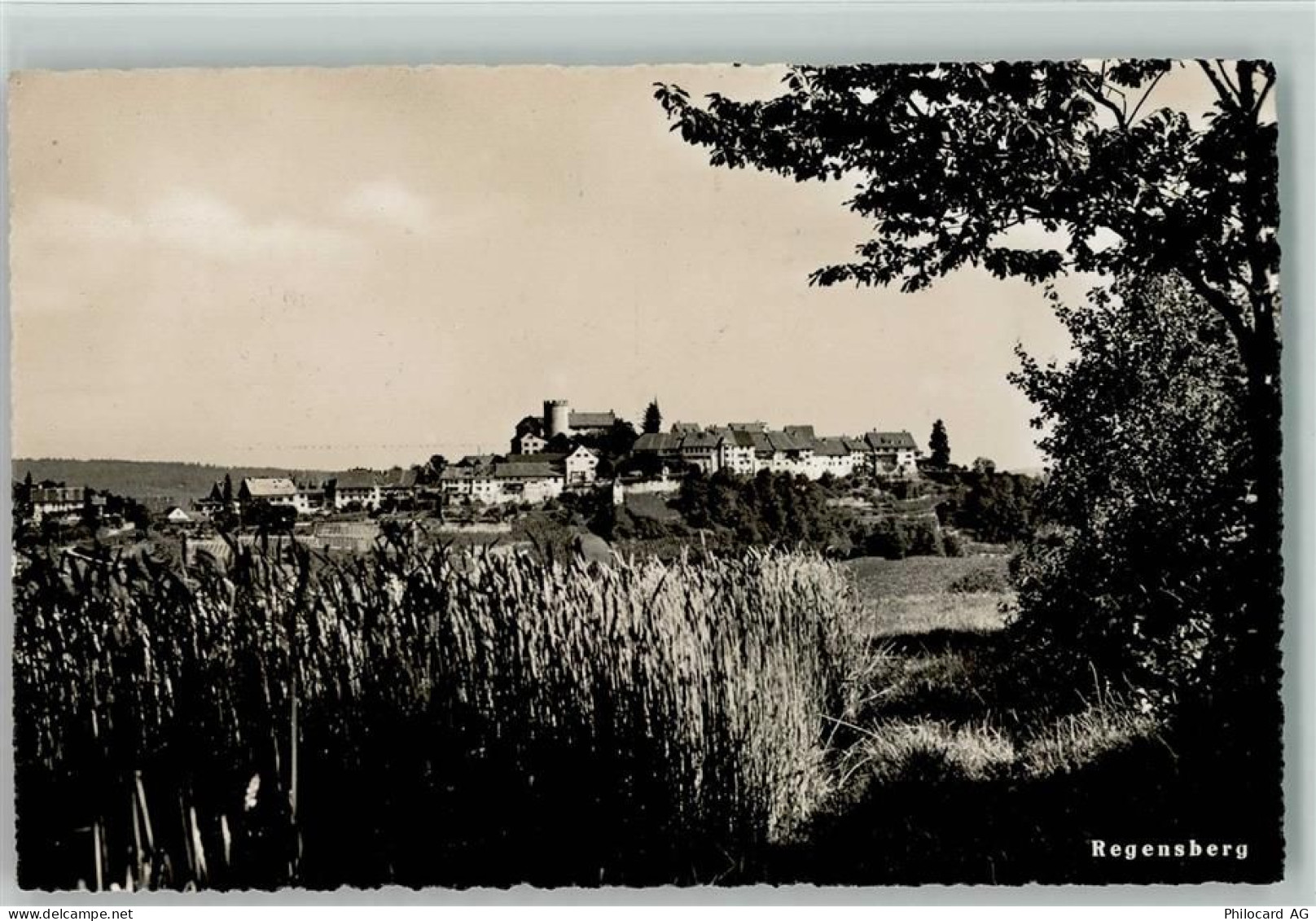8158 Regensberg 1952 - 10198173