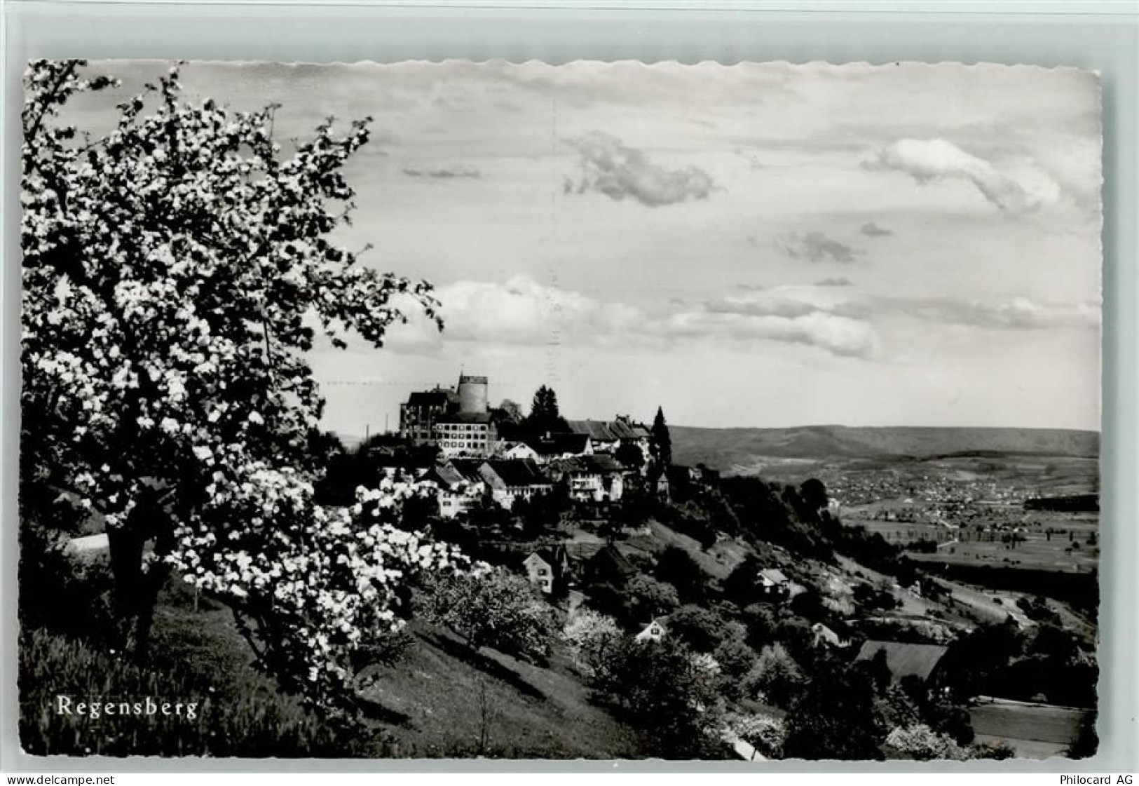 8158 Regensberg - Feldpost - 10198195