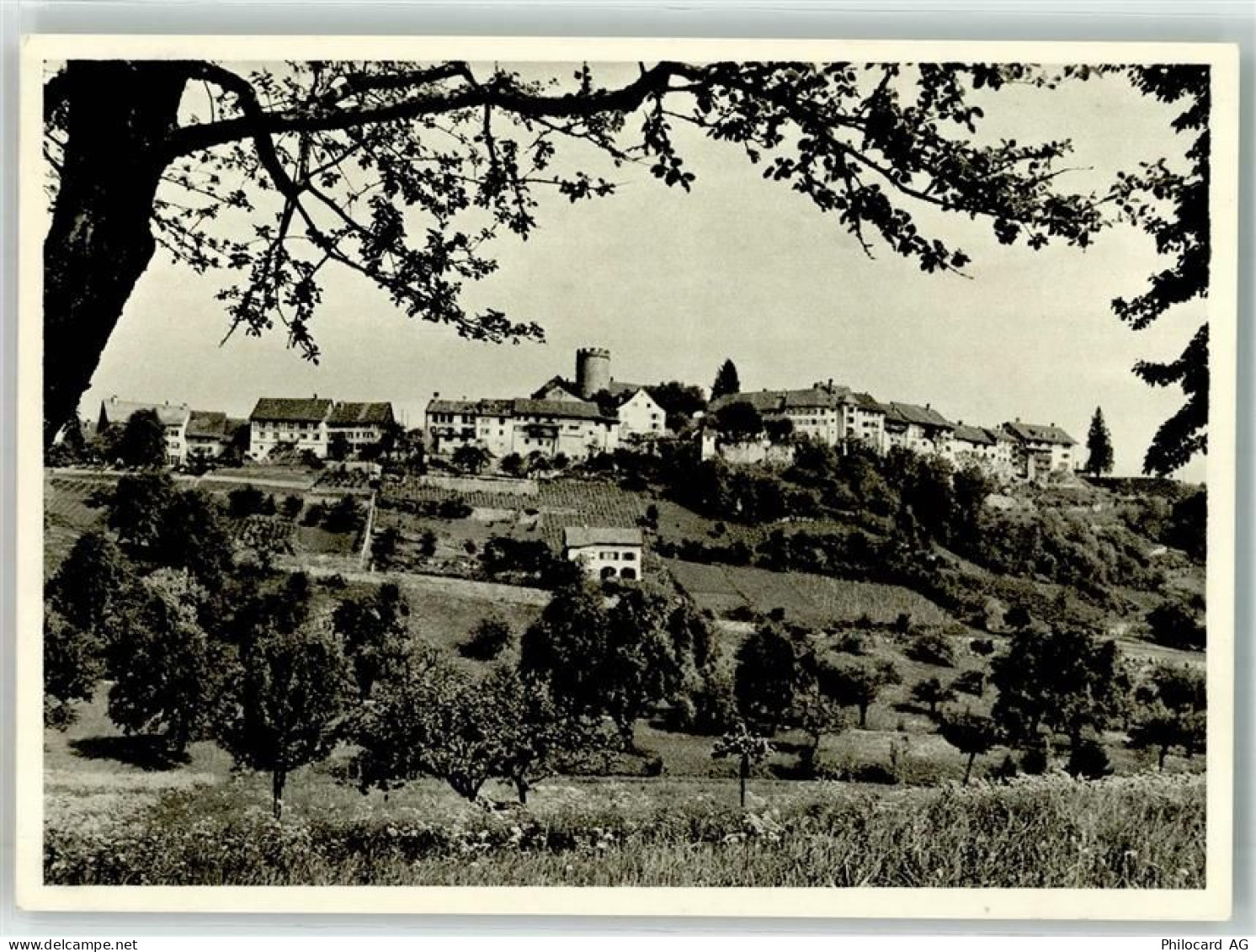 8158 Regensberg Foto AK Foto Wolgensinger - 39702622