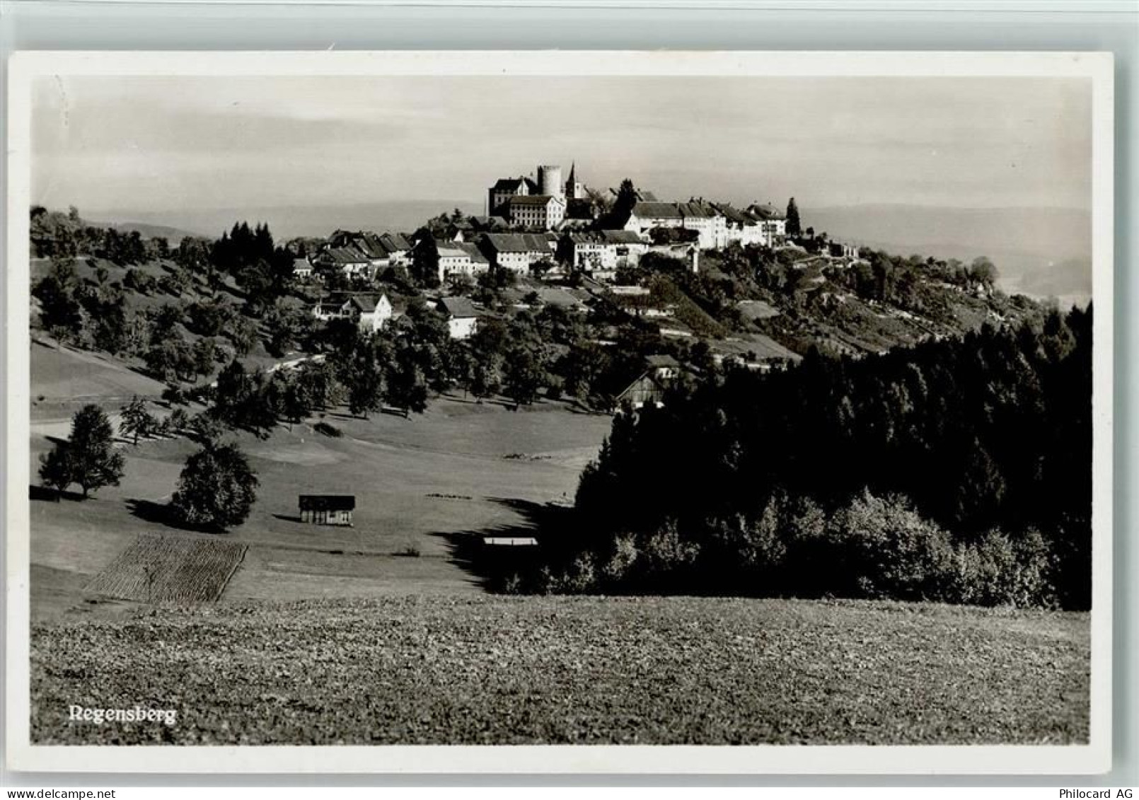 8158 Regensberg - Gasthaus Krone - 10198185