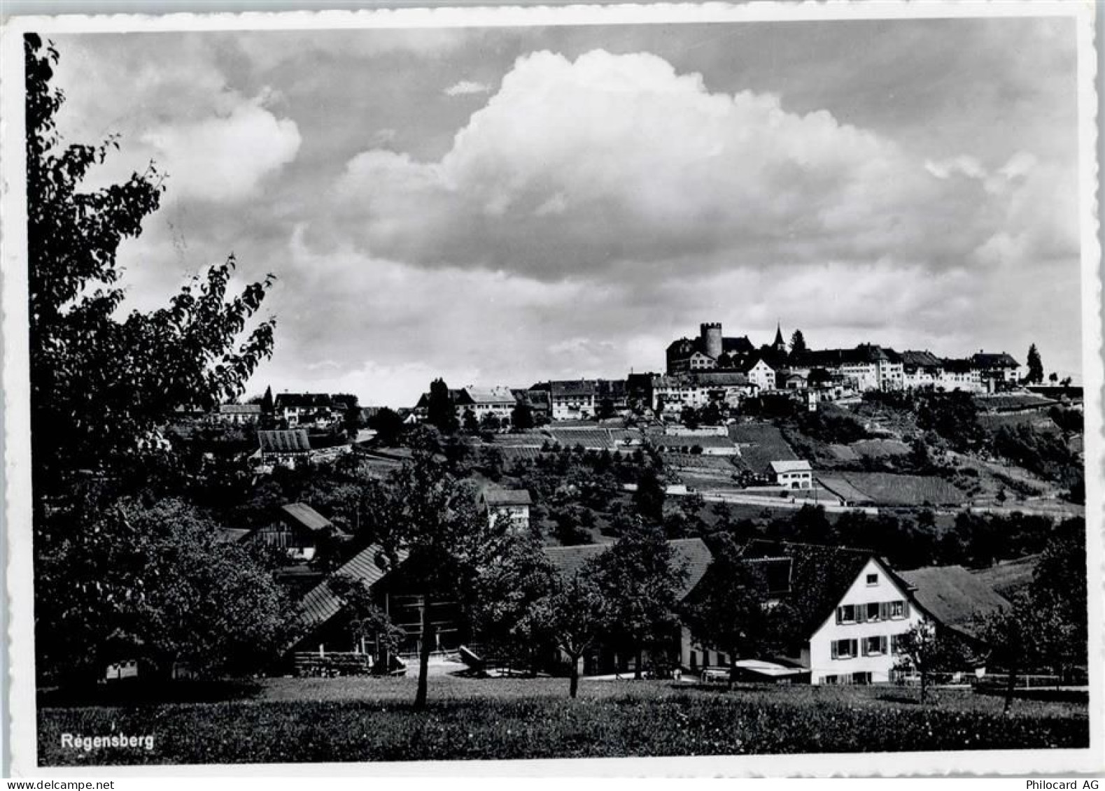 8158 Regensberg - Gesamtansicht - 50746294