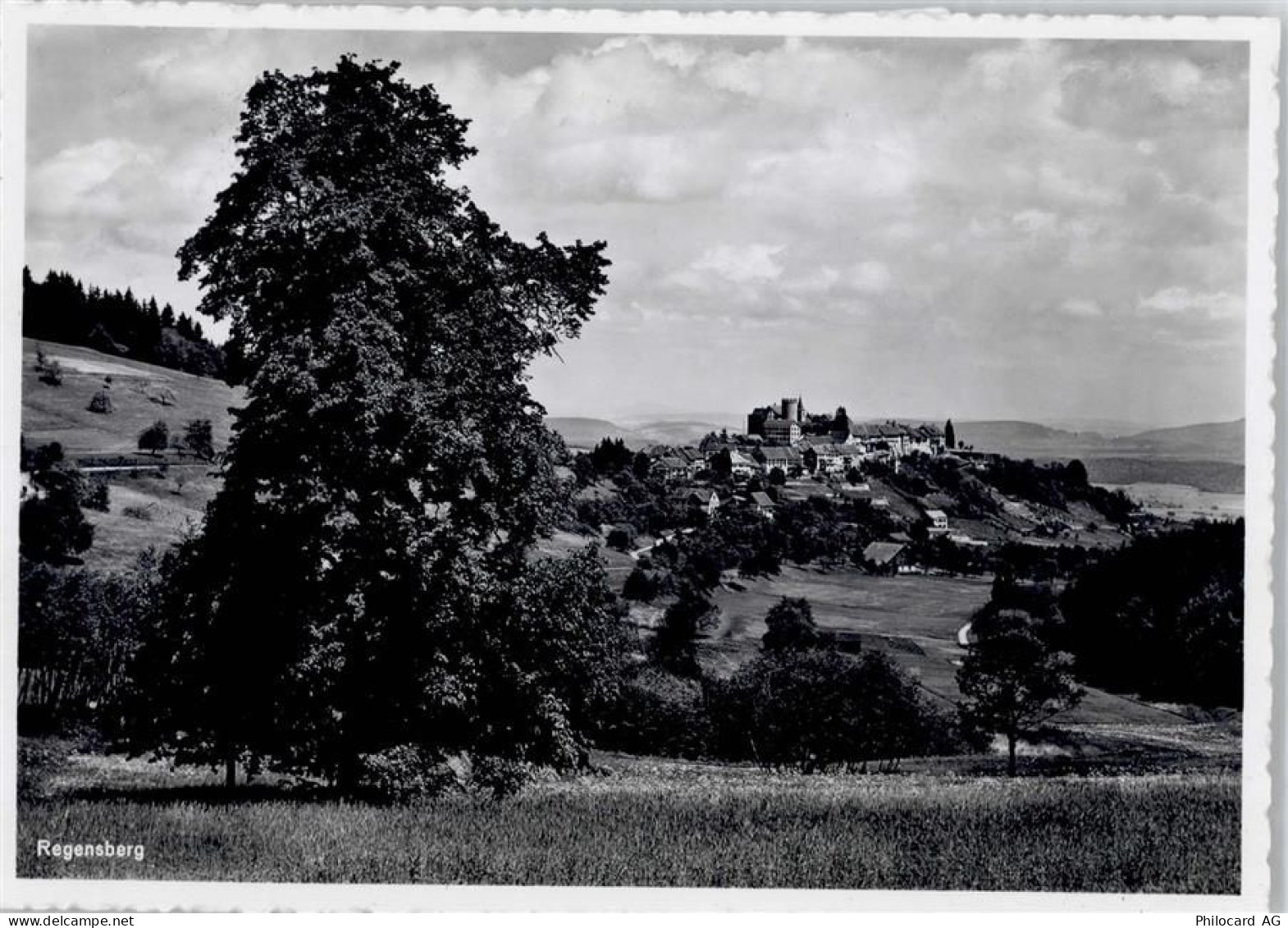 8158 Regensberg - Gesamtansicht - 50799694