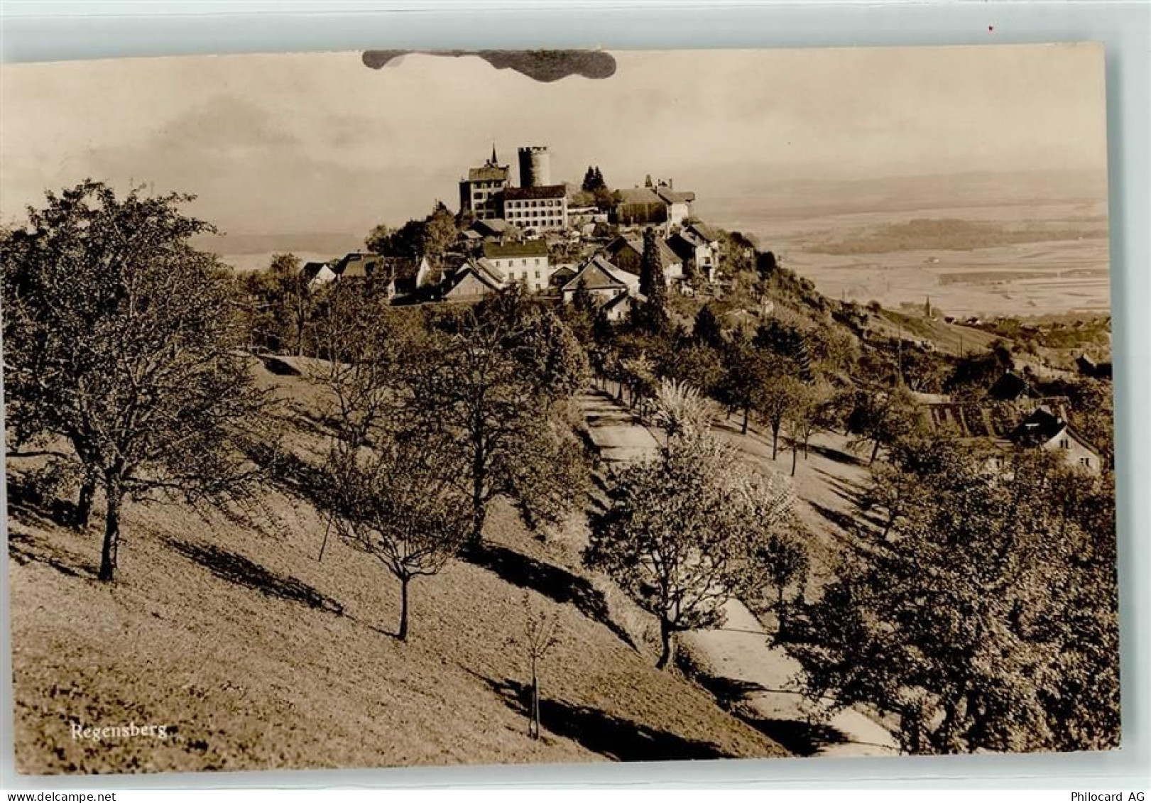 8158 Regensberg - Schloss - 10610559