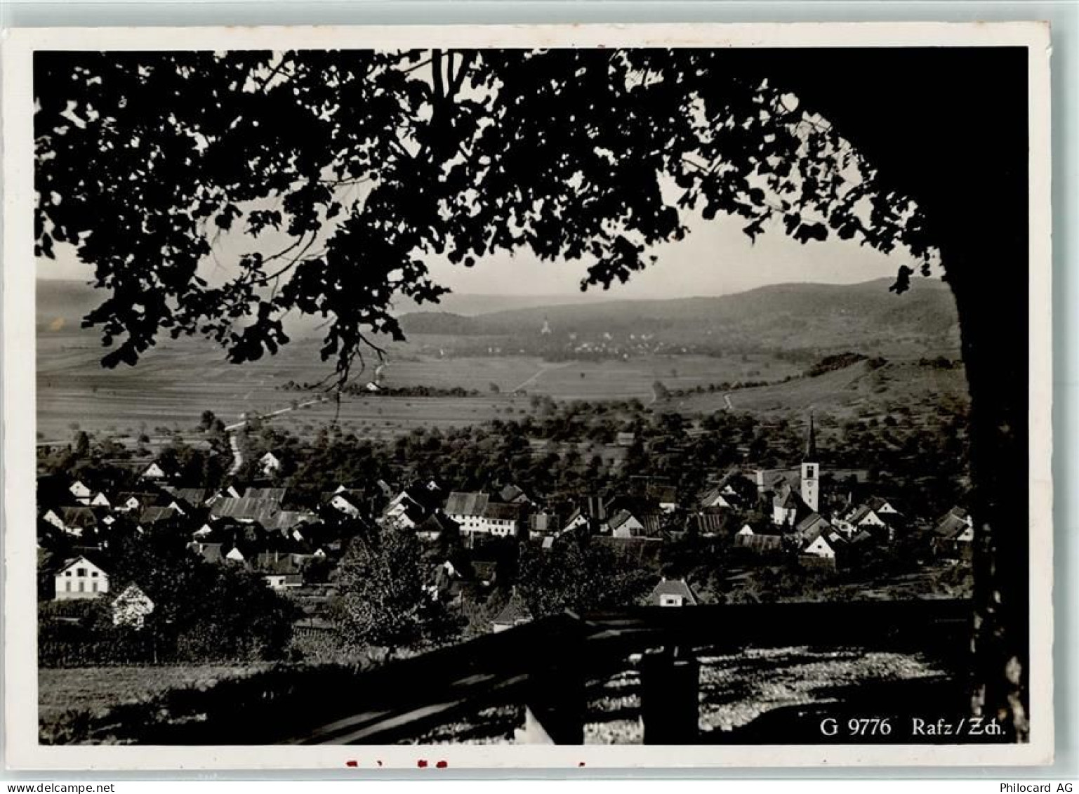 8197 Rafz - 13145612