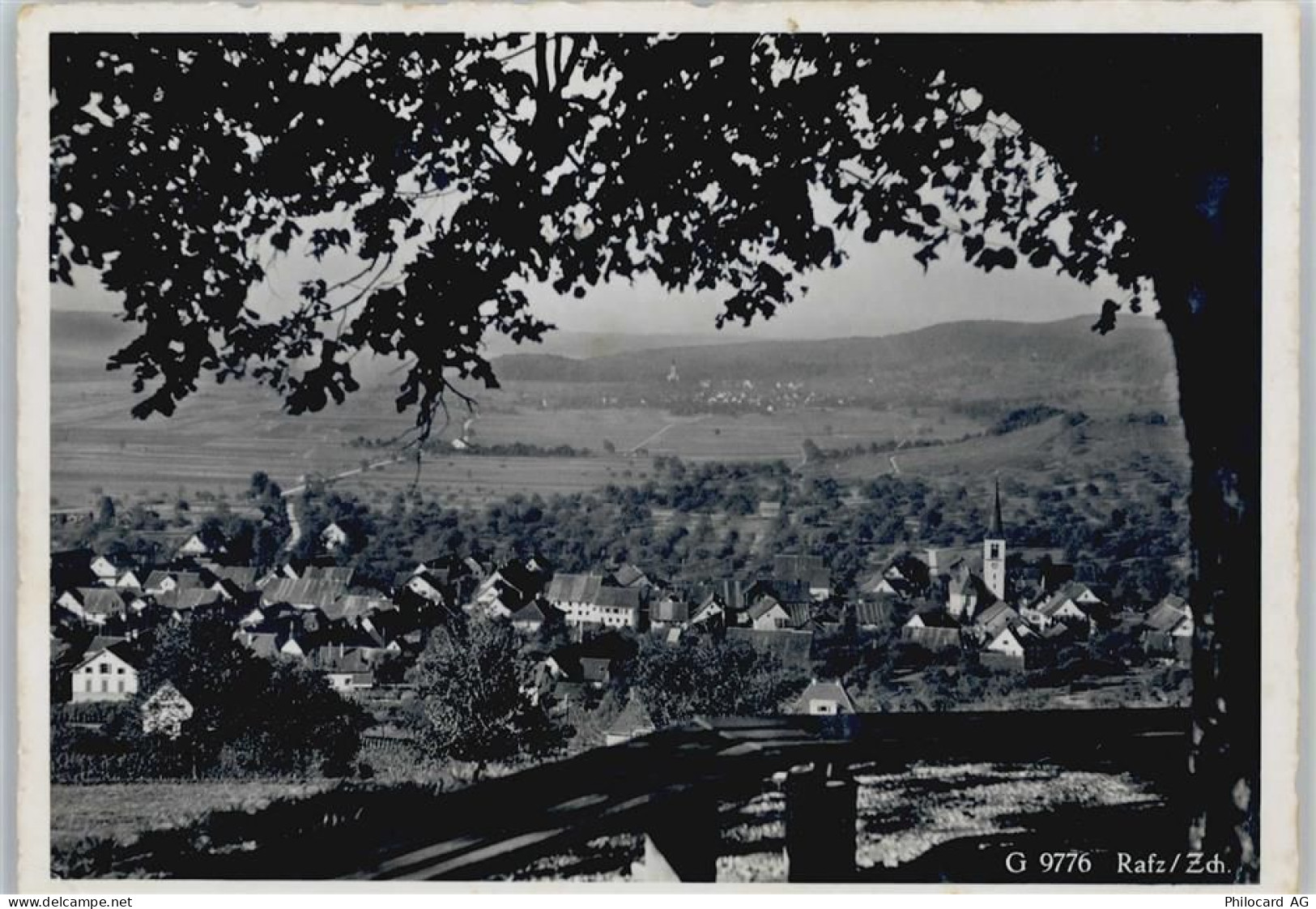 8197 Rafz - 50564403