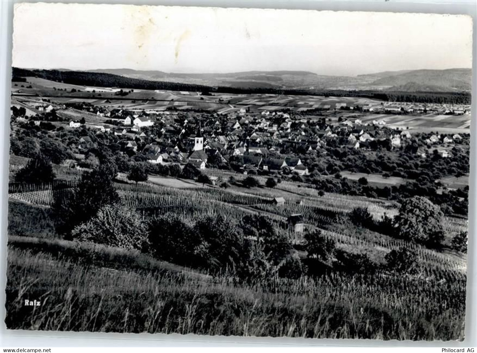 8197 Rafz Foto AK - 51300774