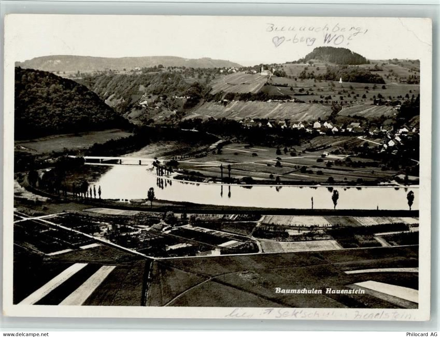 8197 Rafz Gebrauchsspuren Fliegeraufnahme Baumschulen Hauenstein - 13117285