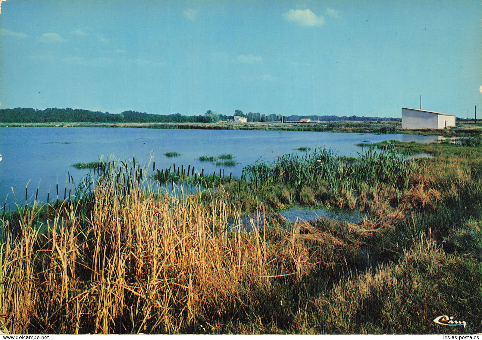 82 MONTECH LA PISCICULTURE