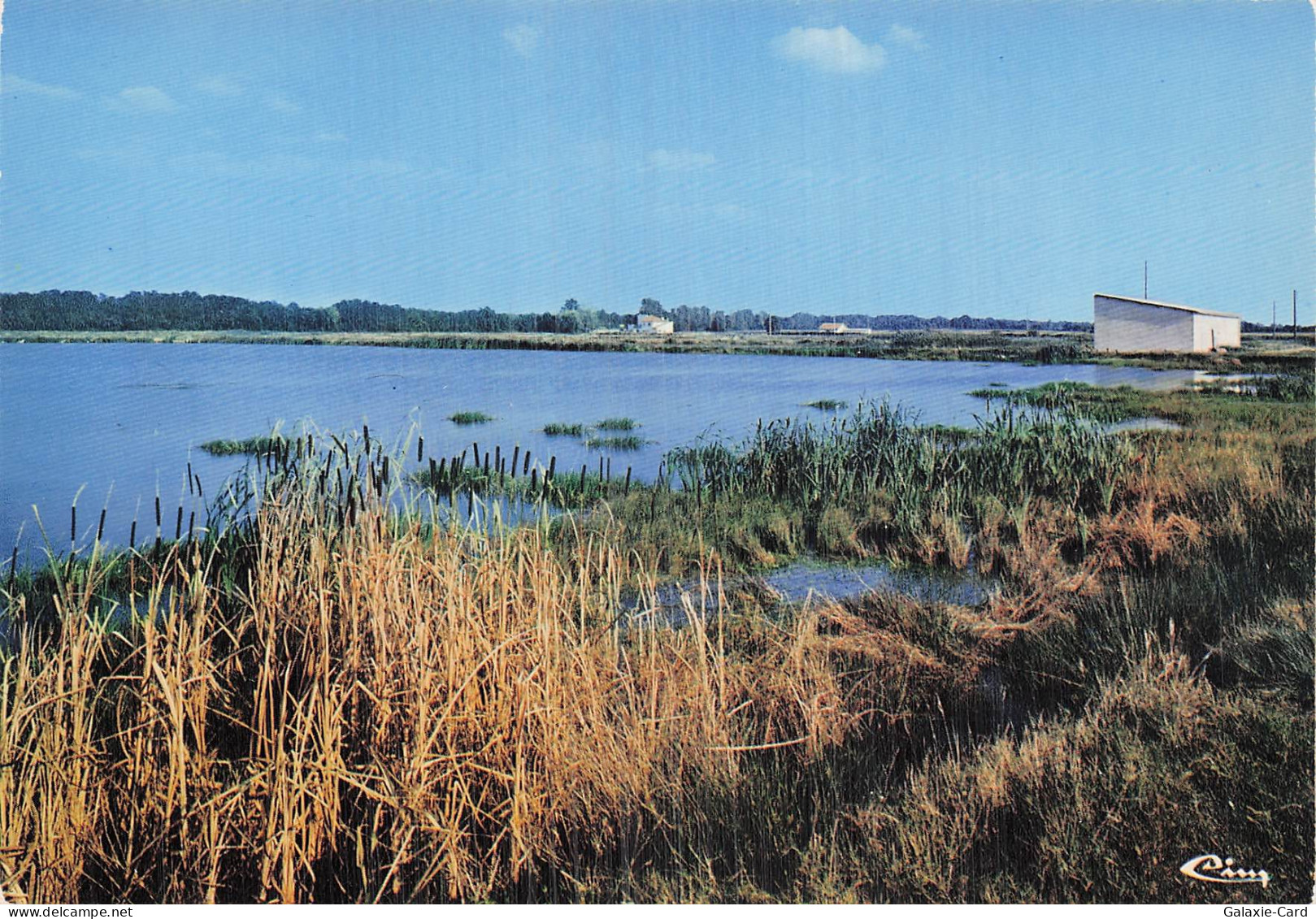 82 MONTECH LA PISCICULTURE