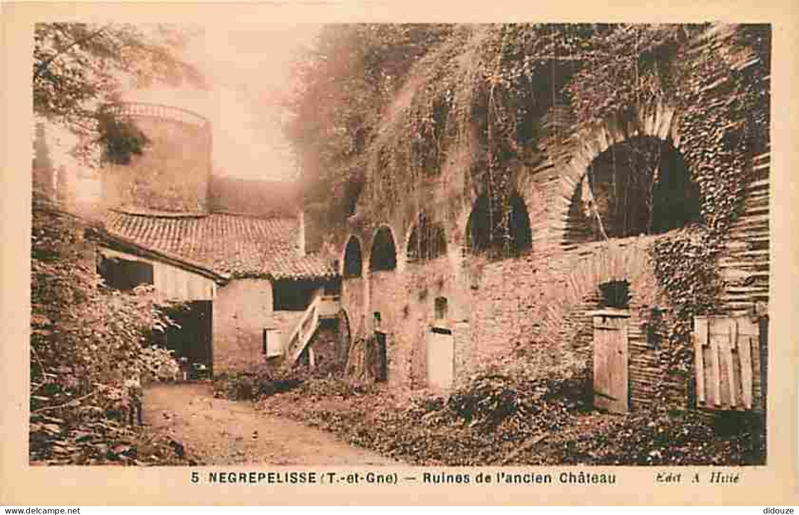 82 - Nègrepelisse - Ruines de l'ancien Château - Carte Neuve - CPA - Voir Scans Recto-Verso