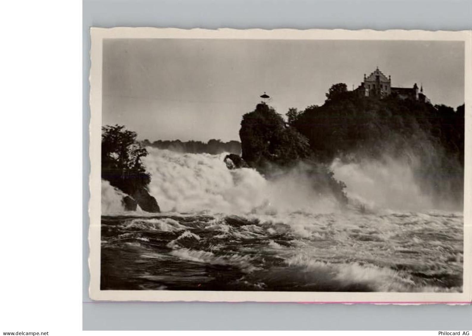 8212 Neuhausen am Rheinfall - 50461513