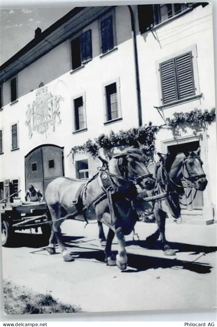 8213 Neunkirch - Bauernhof Kutsche - 50566326