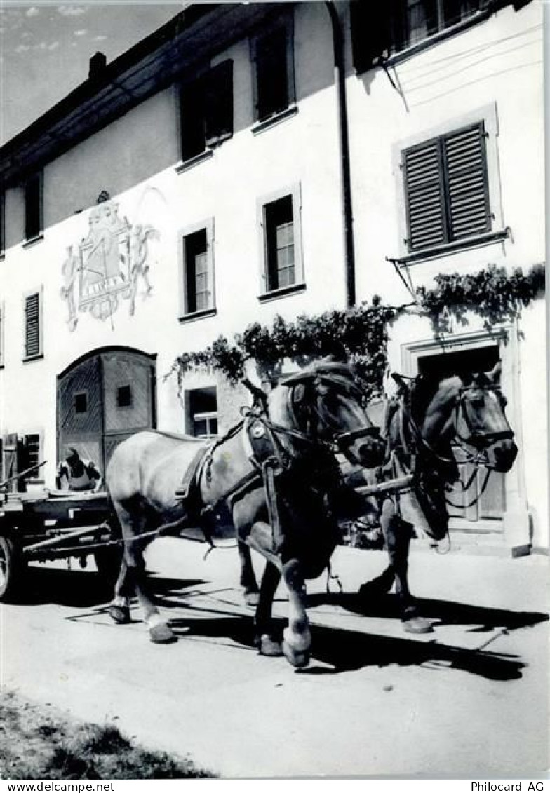 8213 Neunkirch - Bauernhof, Kutsche - 50746564