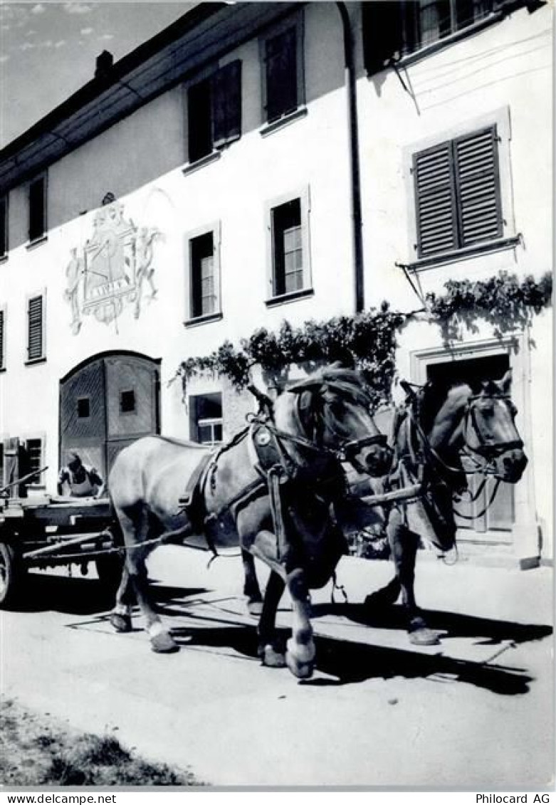 8213 Neunkirch - Bauernhof, Kutsche - 50746565