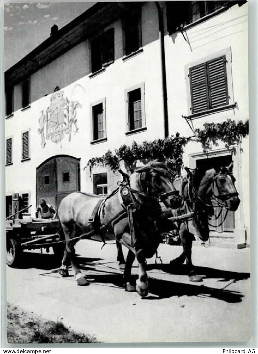 8213 Neunkirch - Bauernhof Pferde - 39374631