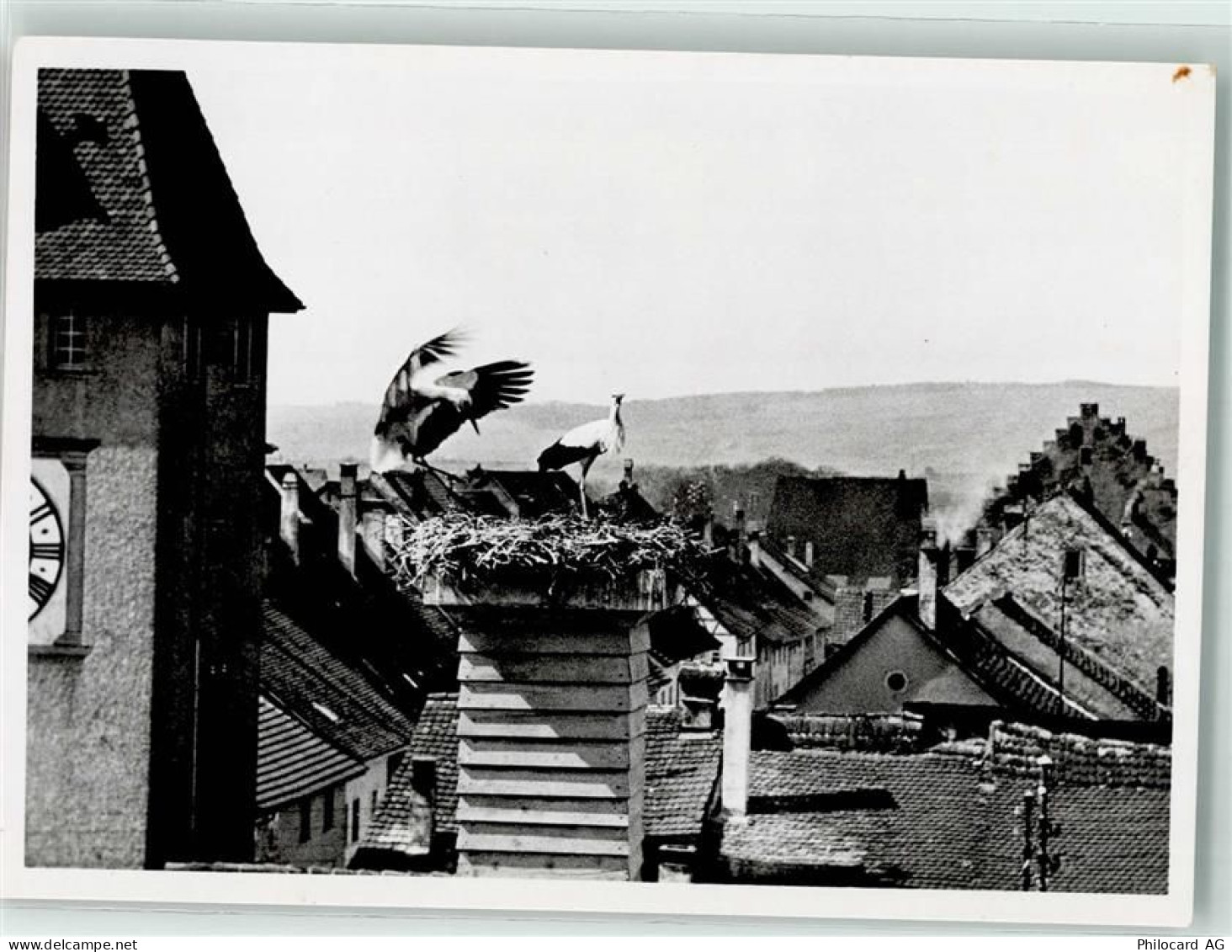 8213 Neunkirch - Storchennest - 39699496