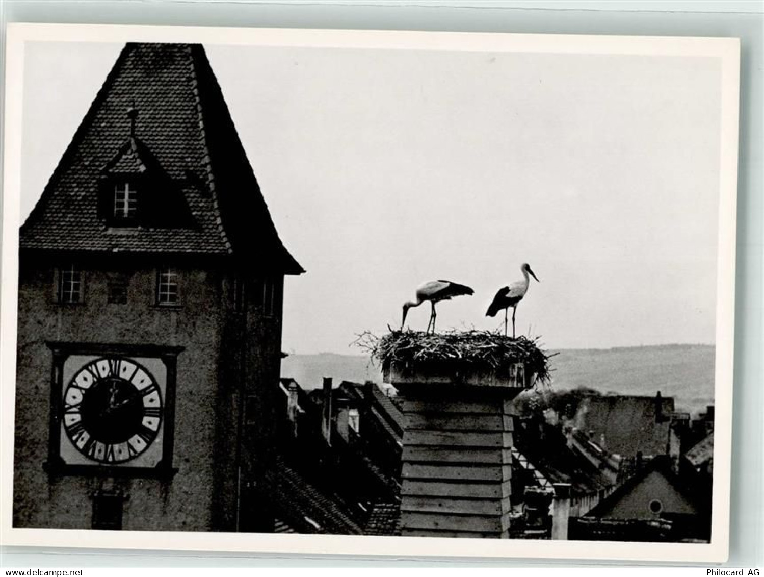 8213 Neunkirch - Storchennest - 39699497