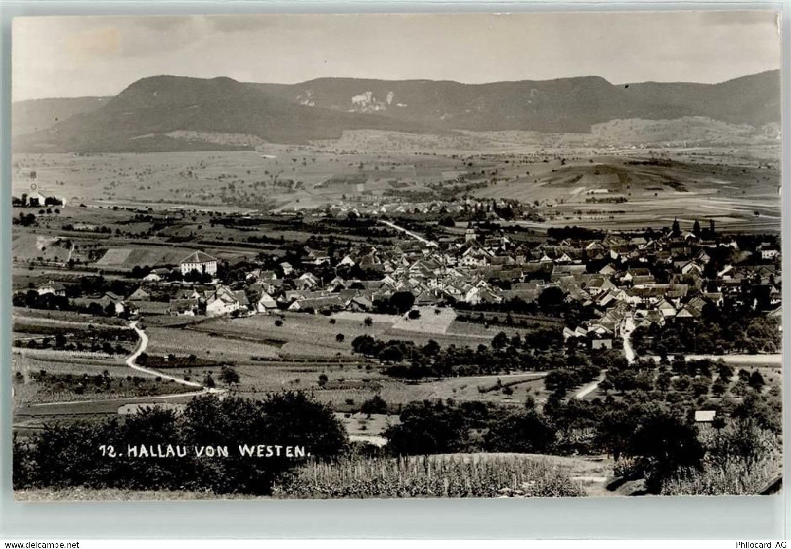 8215 Hallau - 13186677