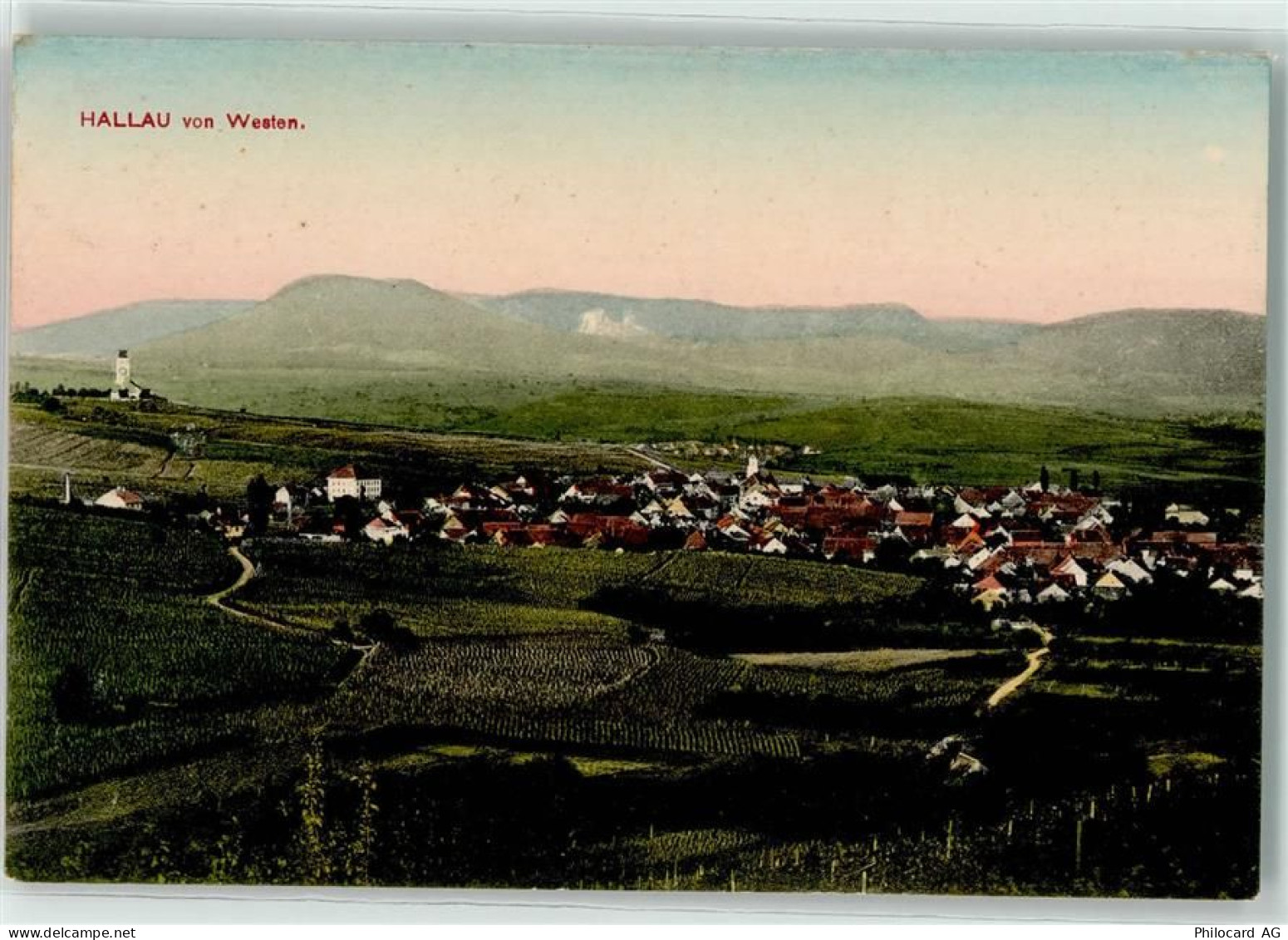 8215 Hallau 1908 - 13186786