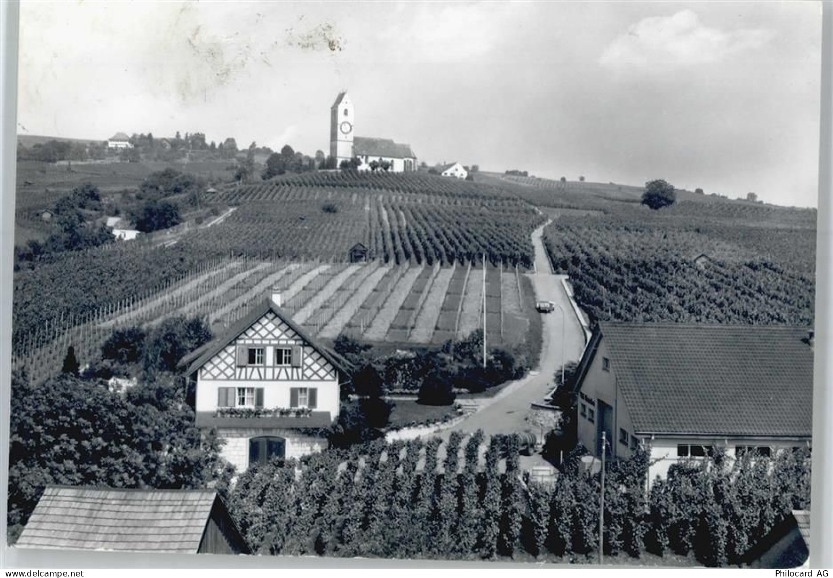 8215 Hallau - Bergkirche St. Moritz - 50863209