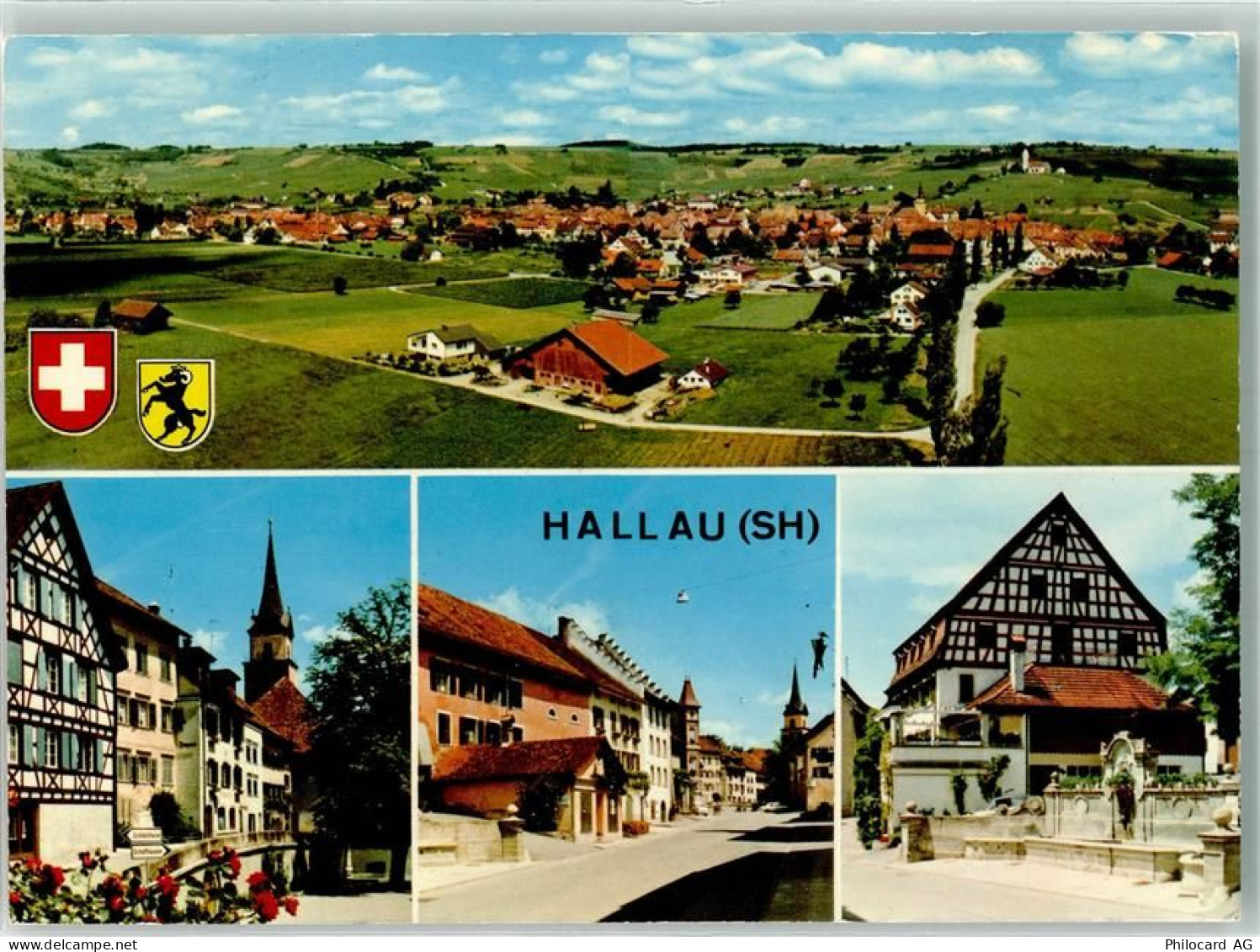 8215 Hallau Foto AK Foto Gross - 39695605