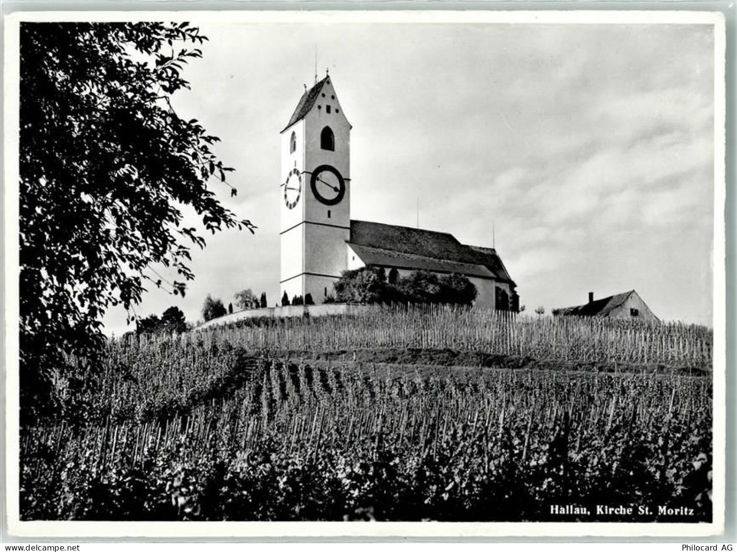 8215 Hallau - Kirche St. Moritz - 39702664