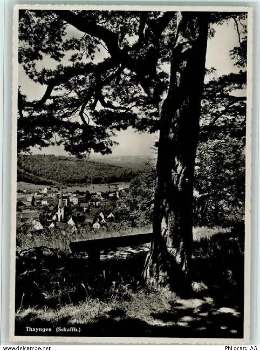 8240 Thayngen - Schaffhausen Baum - 11057561