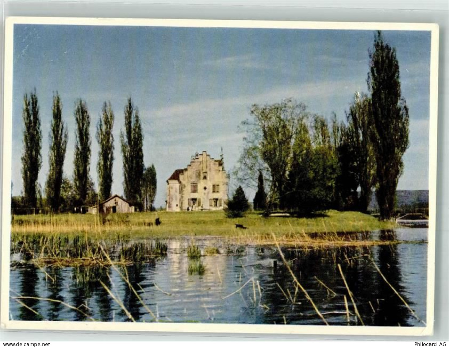 8264 Eschenz 1961 Foto AK St. Othmar im Werd - 38071608