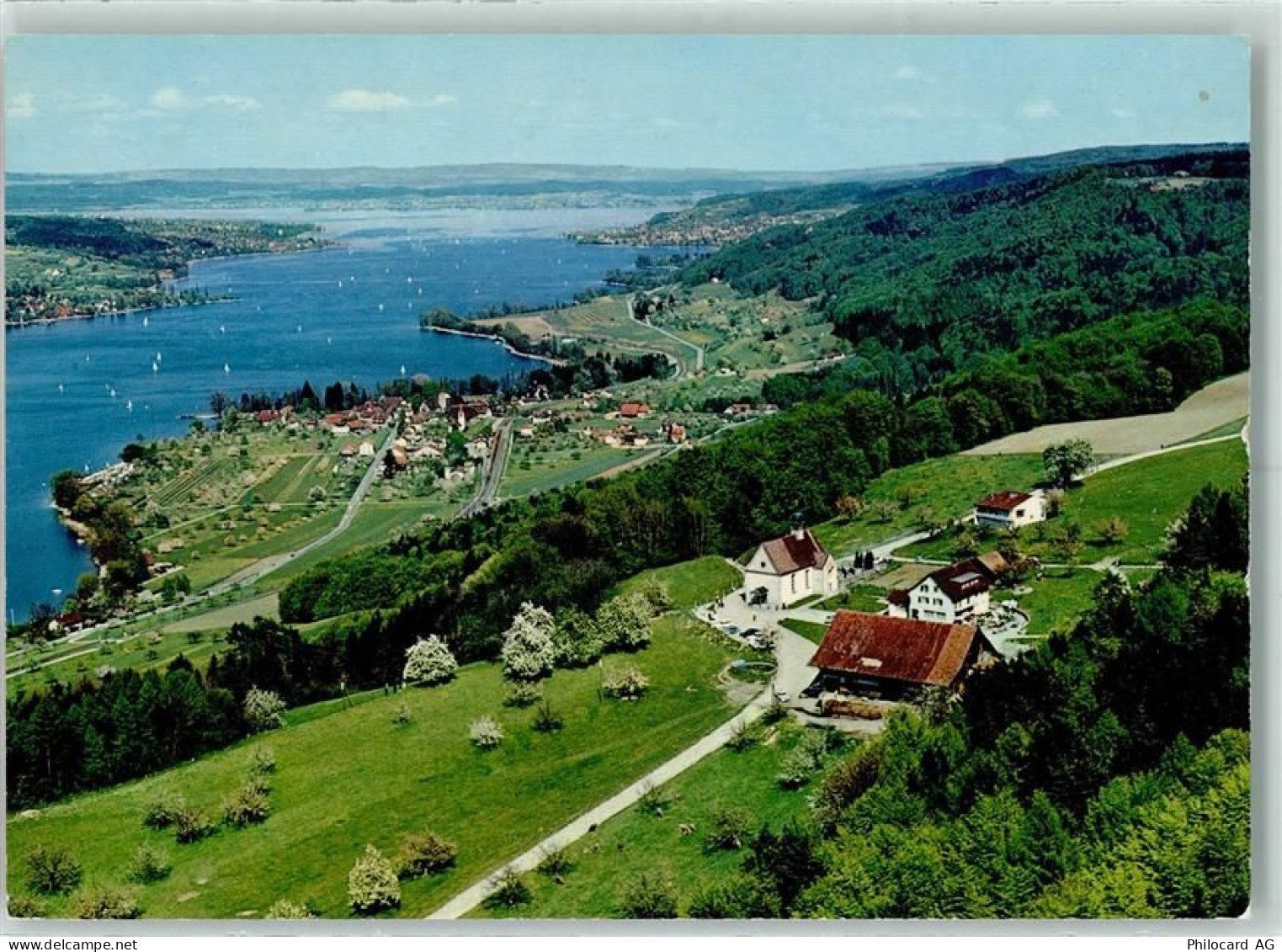 8264 Eschenz Bornhausen 1971 - Restaurant Klingenzellerhof Klingenzell T... - 10281606