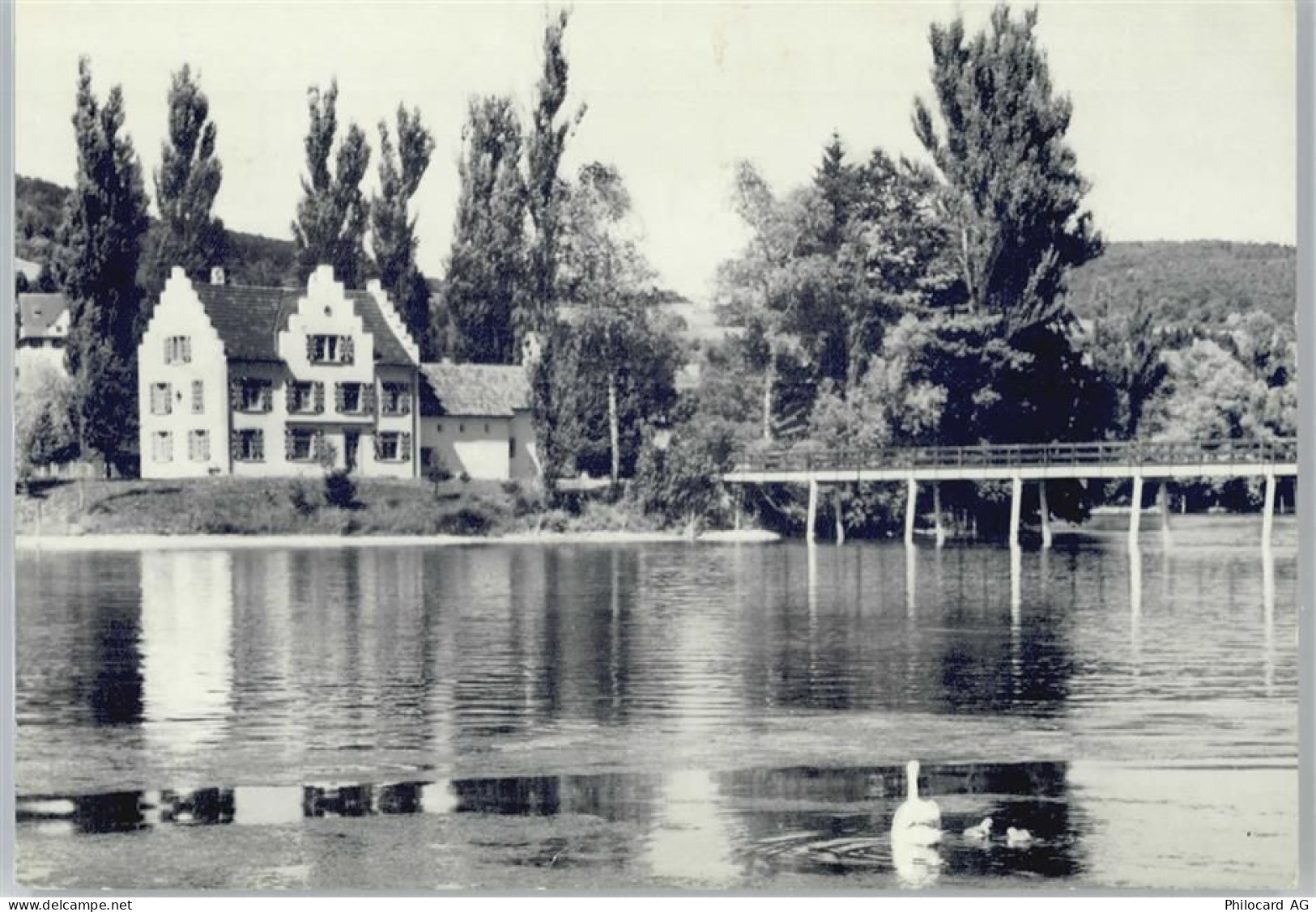 8264 Eschenz Bornhausen - 50772051