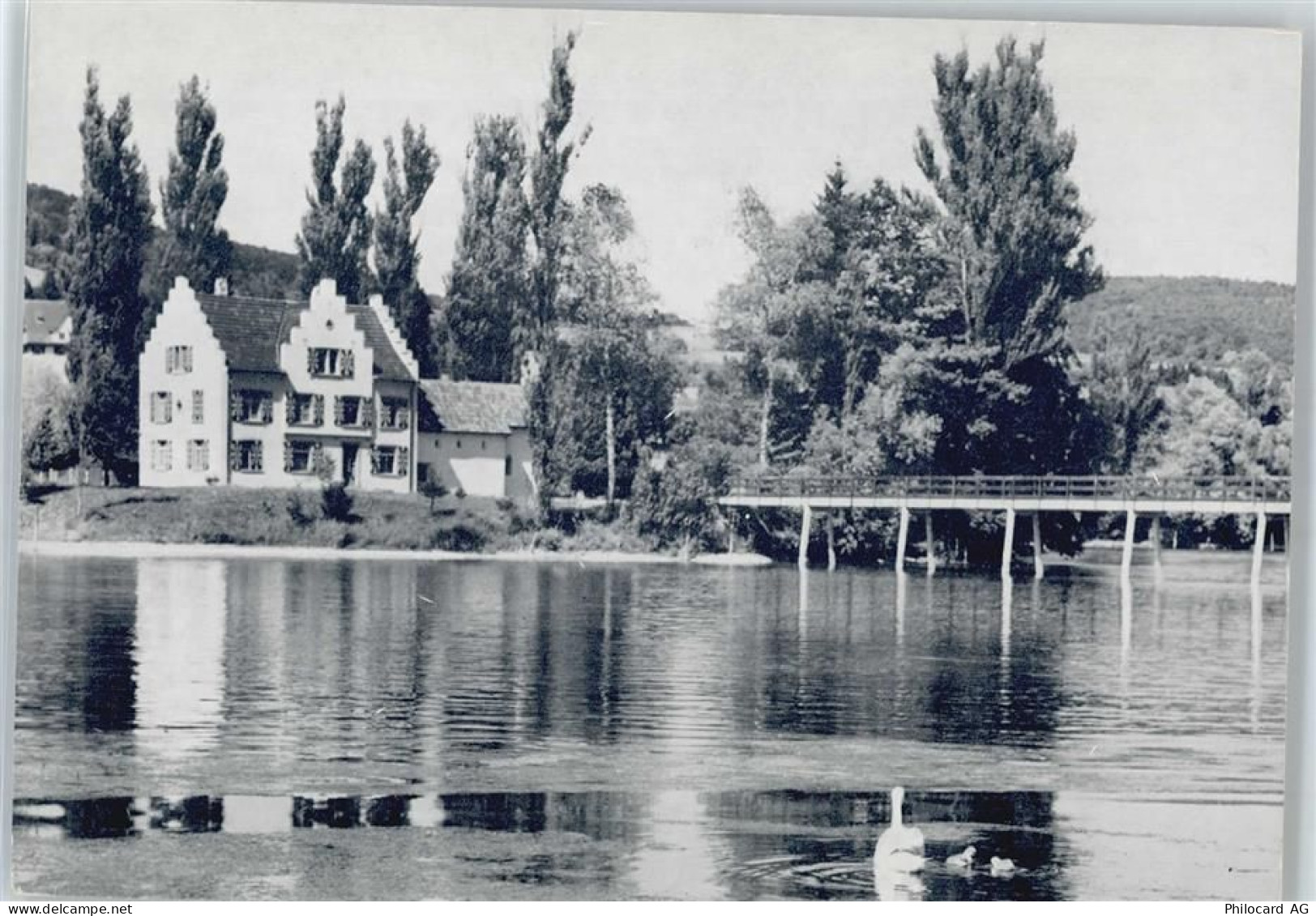 8264 Eschenz Bornhausen - See, Brücke - 50577417