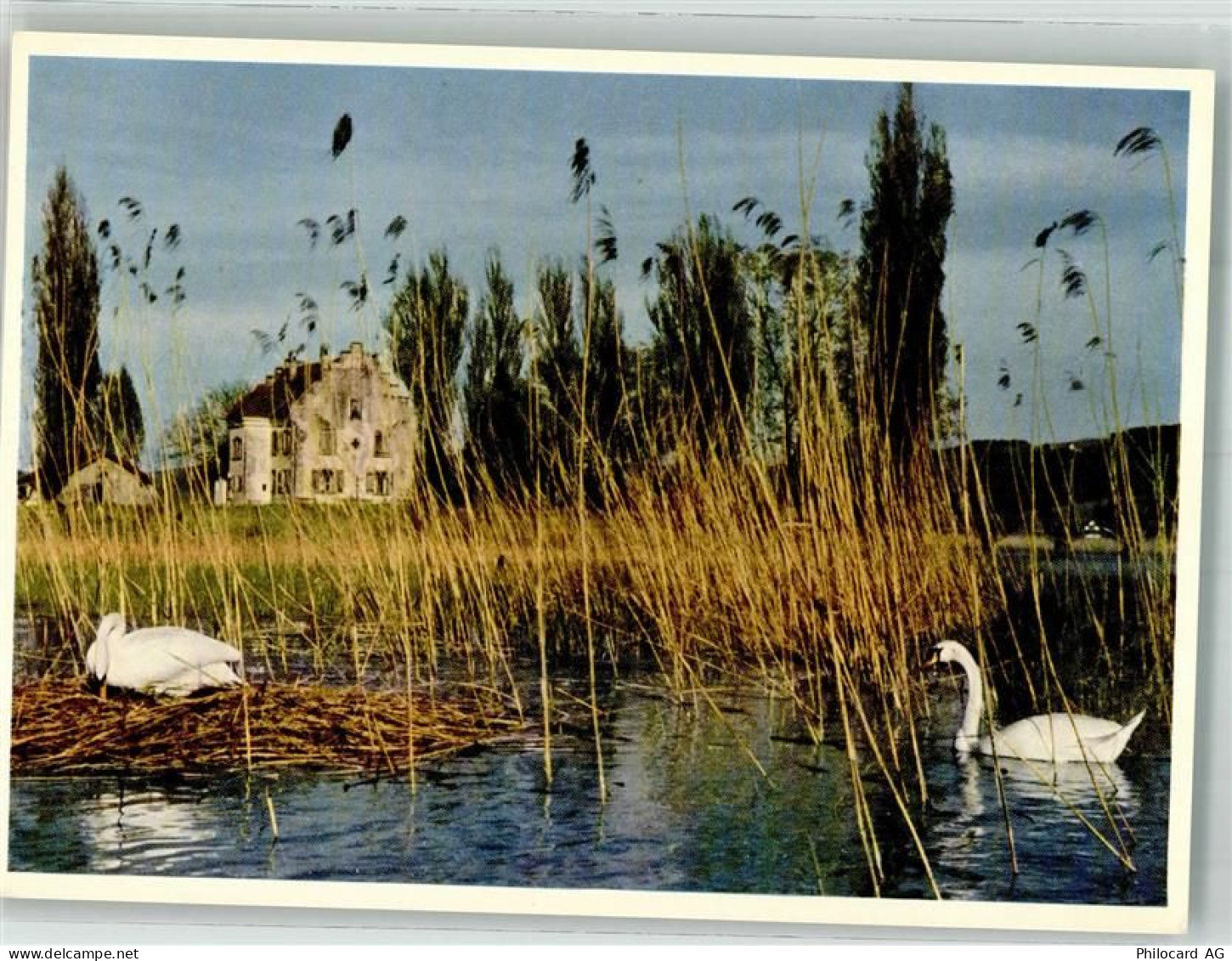 8264 Eschenz Foto AK St. Othmar im Wend - 38070122