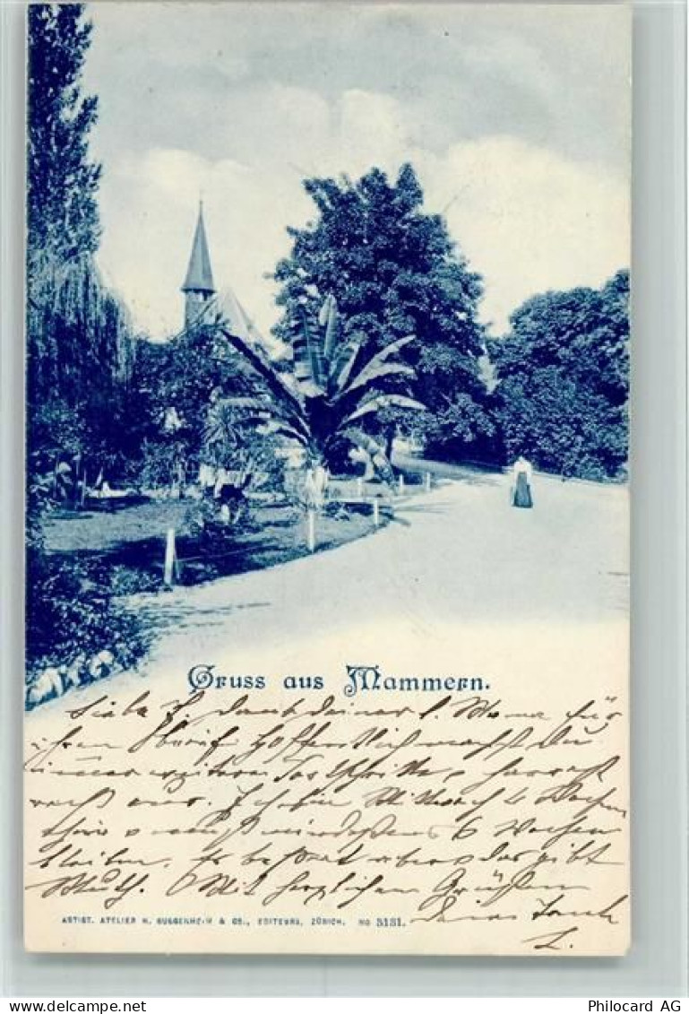 8265 Mammern 1900 - 10257608