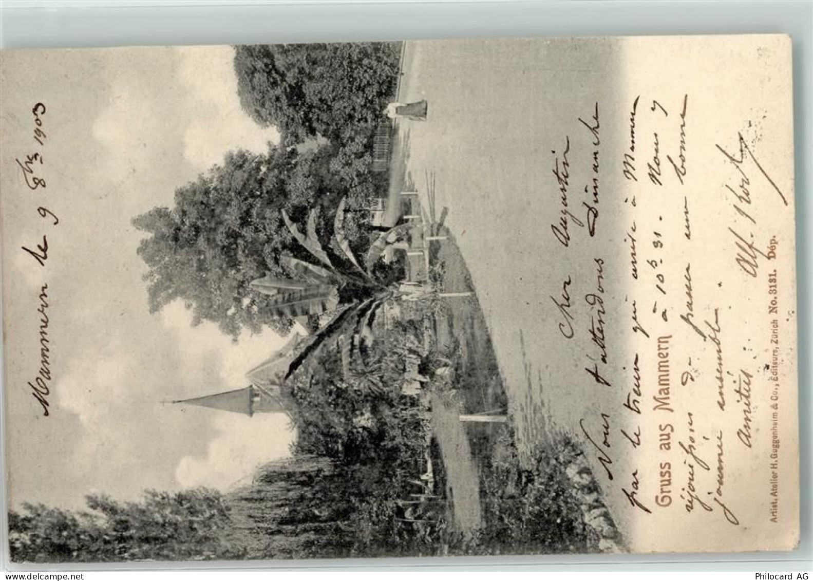 8265 Mammern 1903 - 39406238