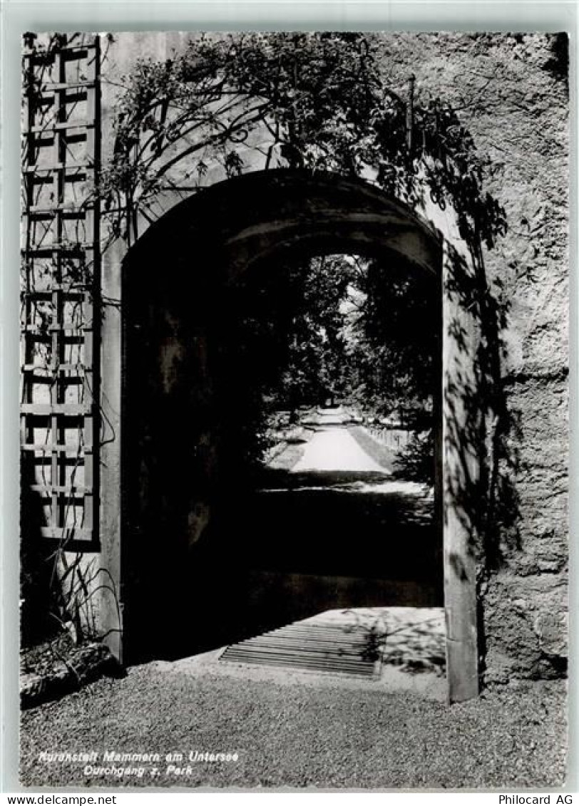 8265 Mammern Foto AK - 38071957