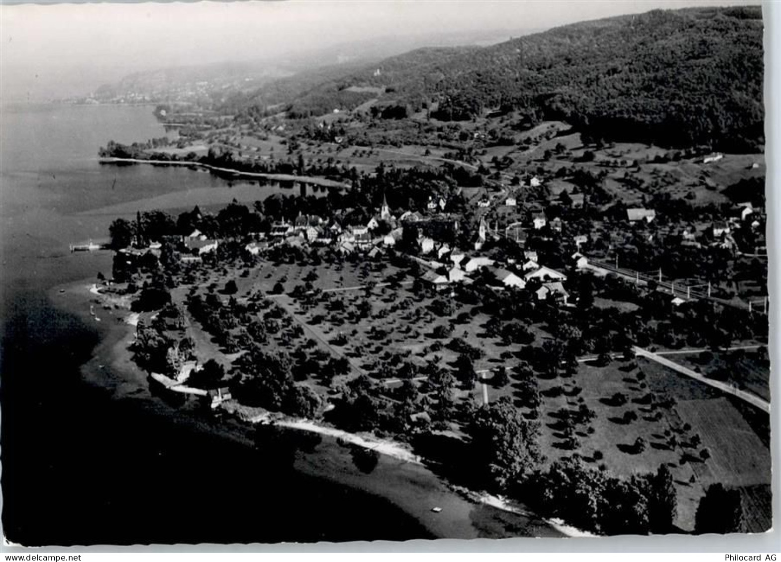 8265 Mammern - Gesamtansicht - 50746576