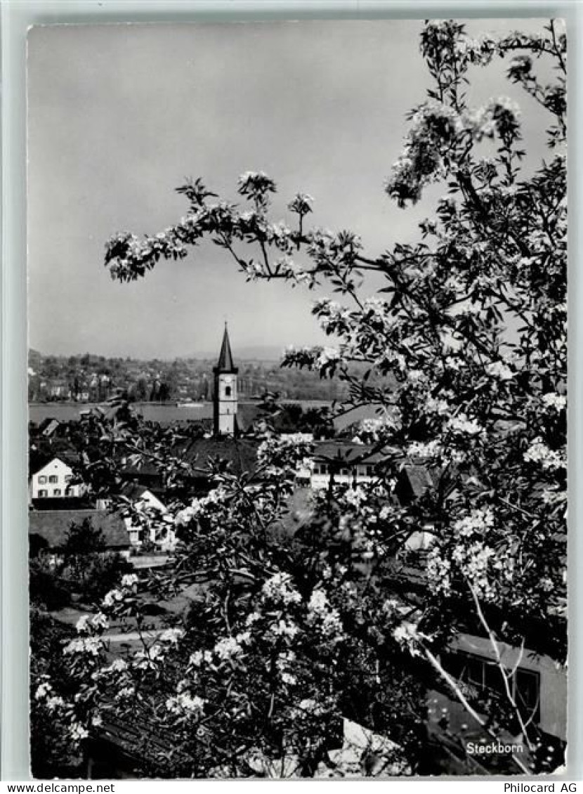 8266 Steckborn - 10159008