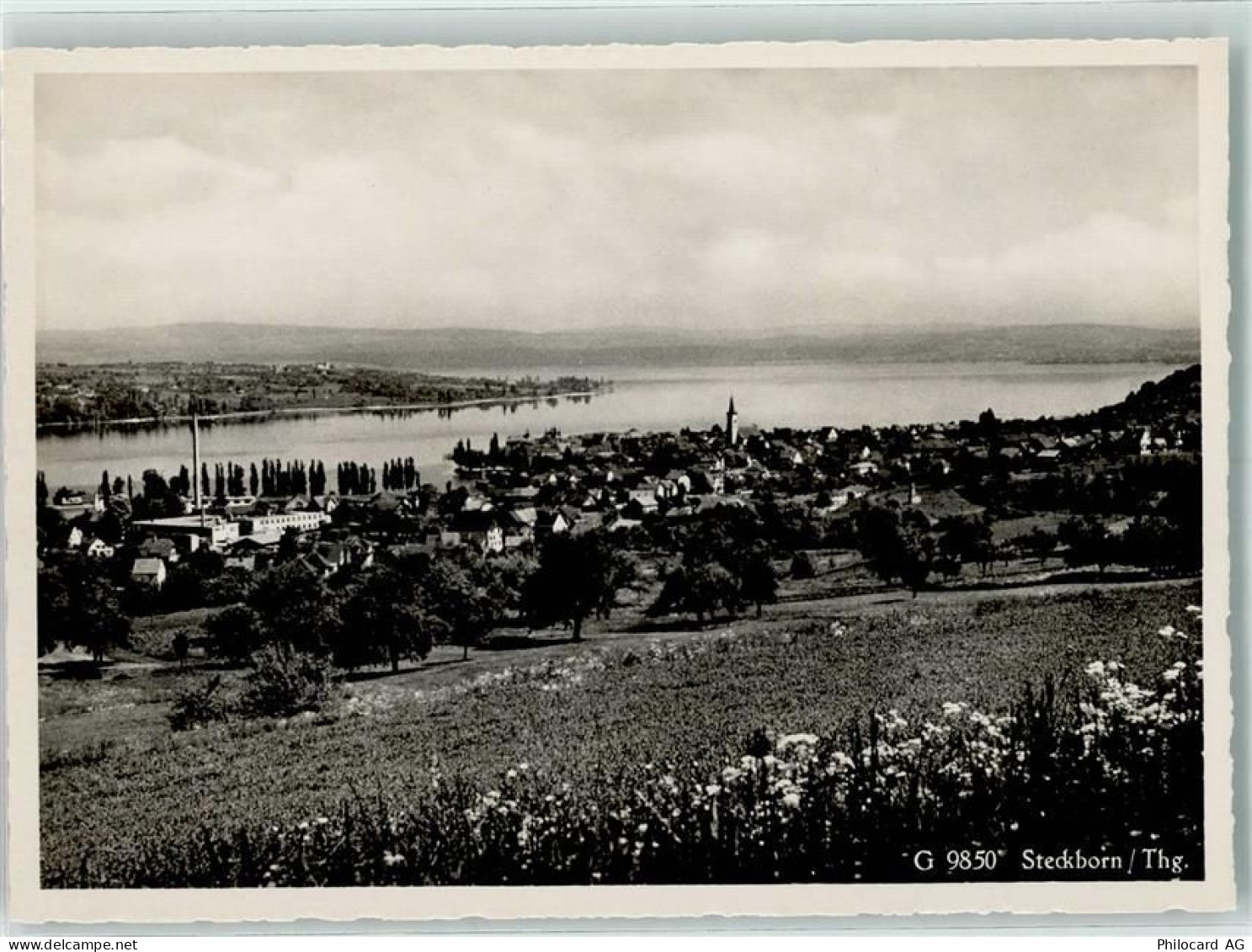 8266 Steckborn - 10305160