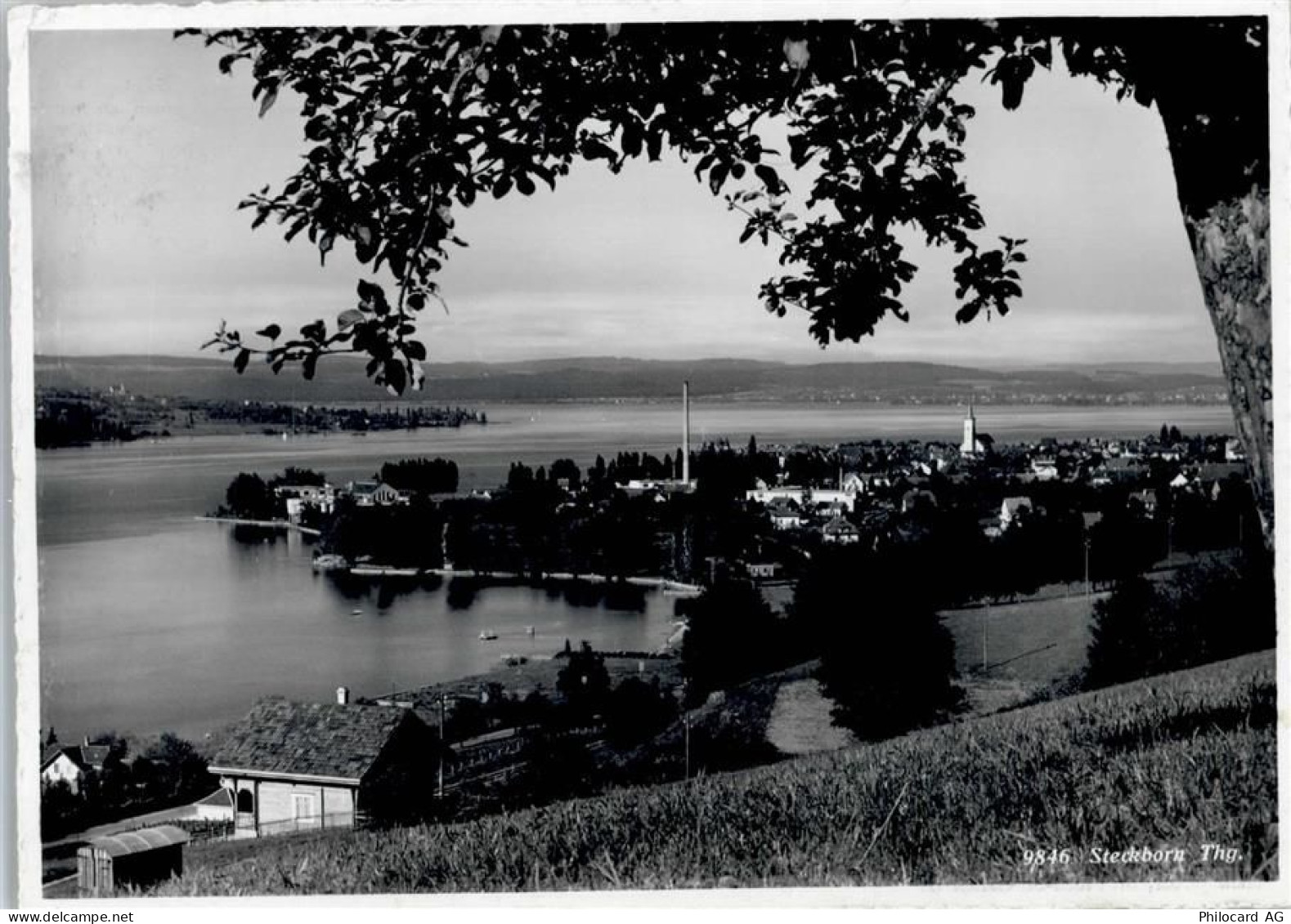 8266 Steckborn - 50773010