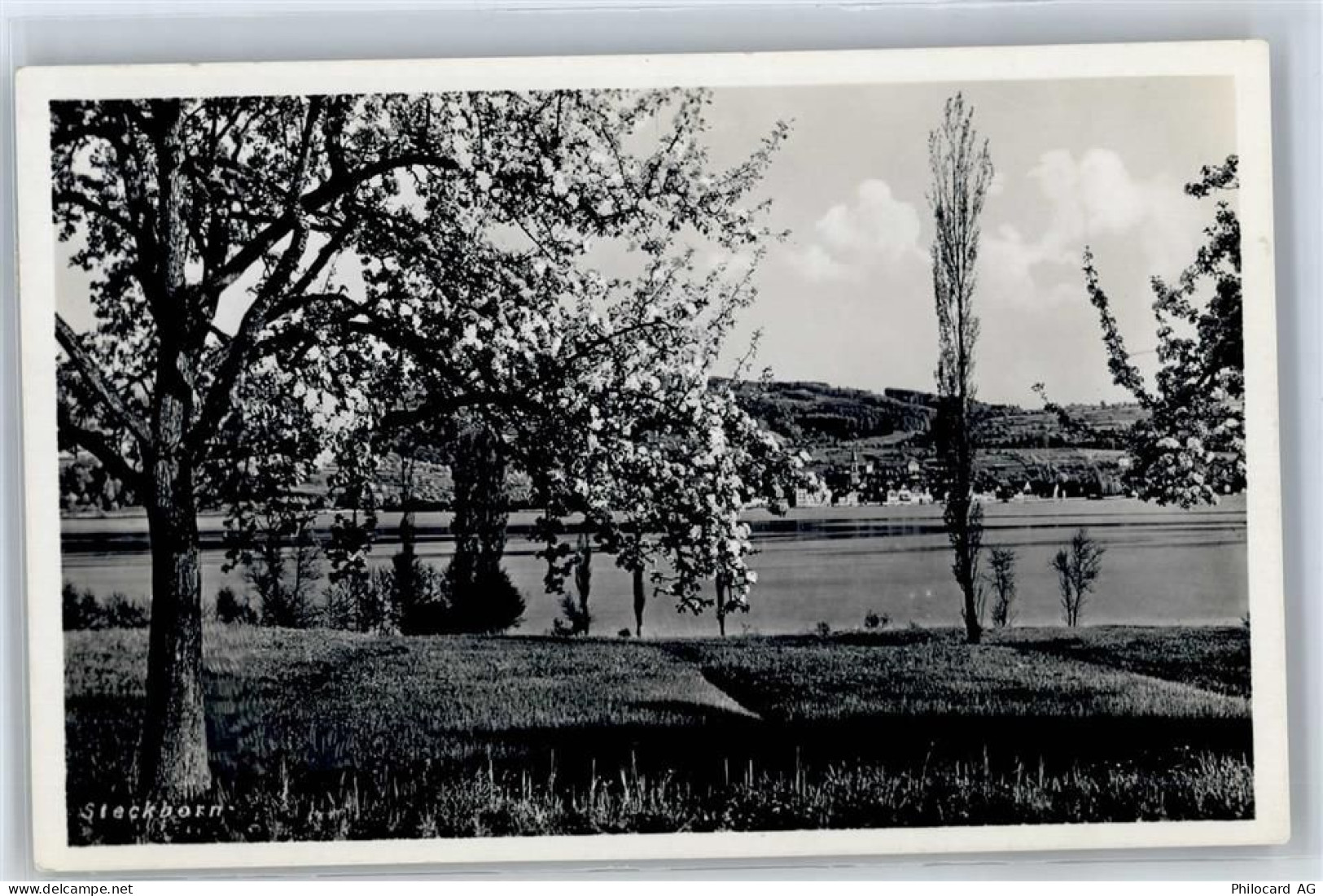 8266 Steckborn - 51276418