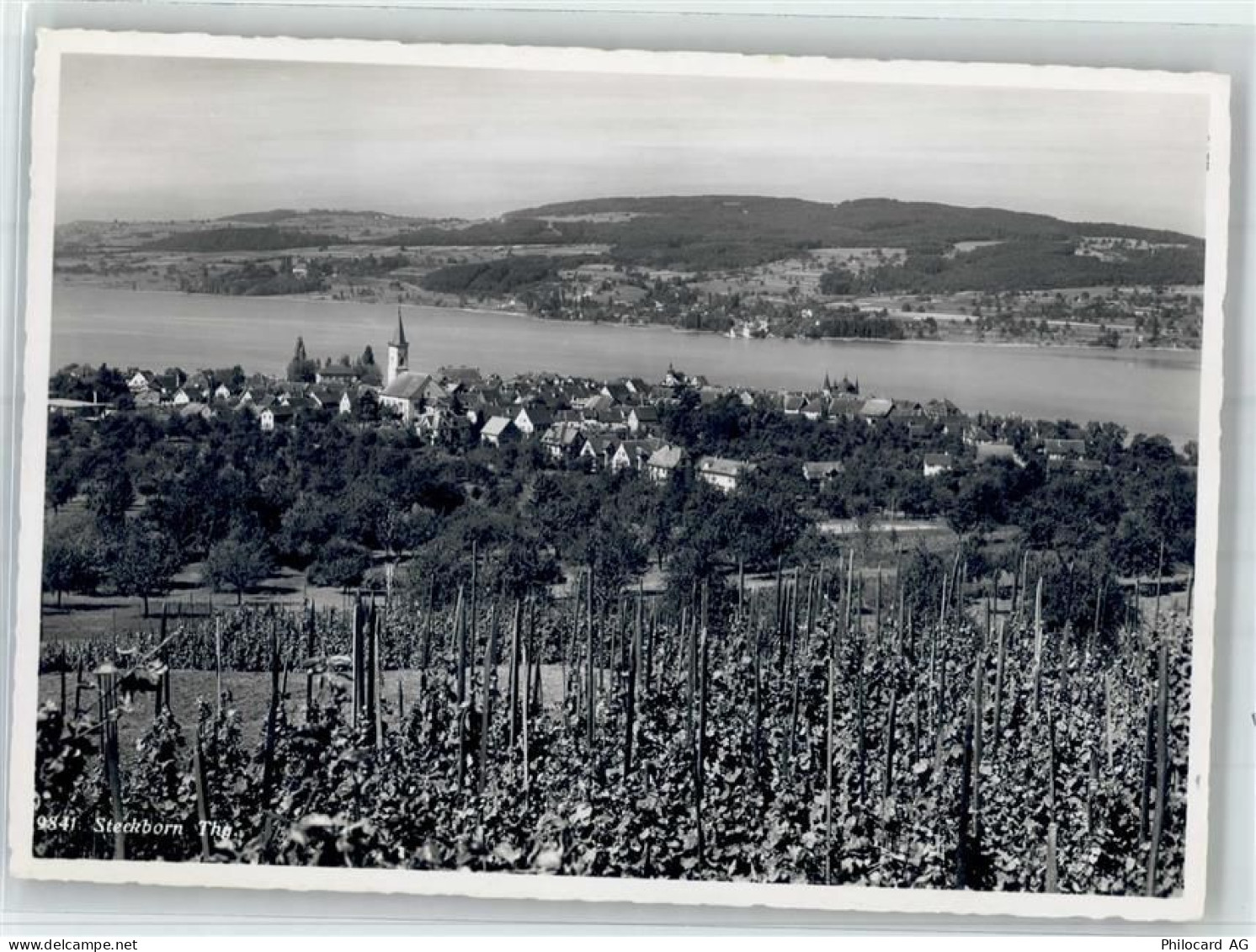 8266 Steckborn - 51714583