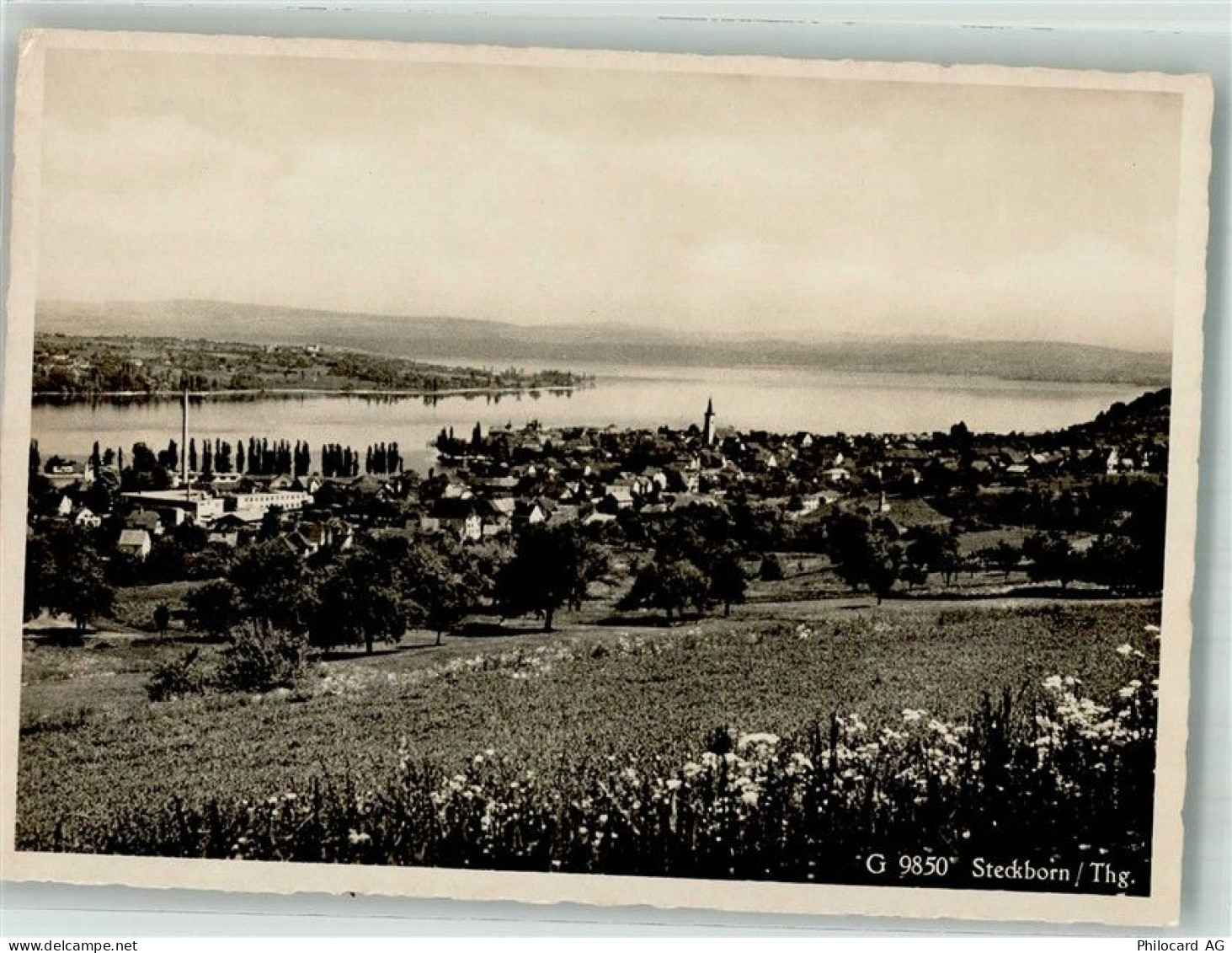8266 Steckborn Foto AK - 38245800