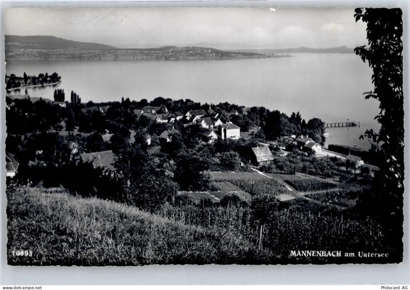 8268 Mannenbach-Salenstein - 50773088